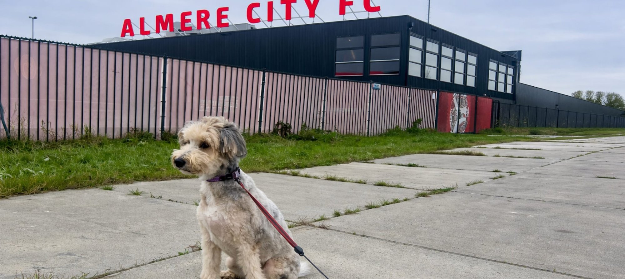 De hond voor Almere City FC