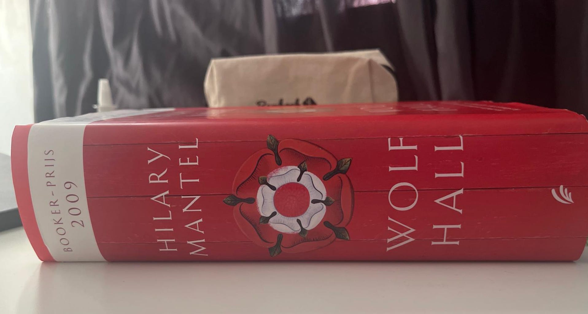 Wolf Hall van Hilary Mantel